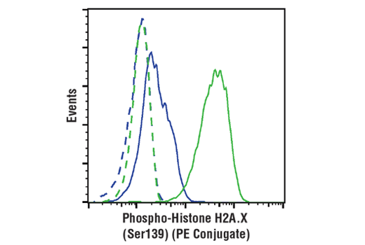 Phospho-Histone H2A.X (Ser139) (20E3) Rabbit mAb (PE Conjugate)