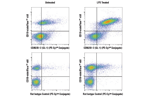 CD86/B7-2 (GL-1) Rat mAb (PE-Cy7 Conjugate)