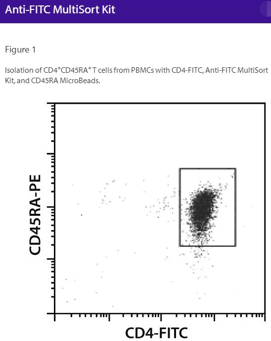 Anti-FITC-Multisort Kit