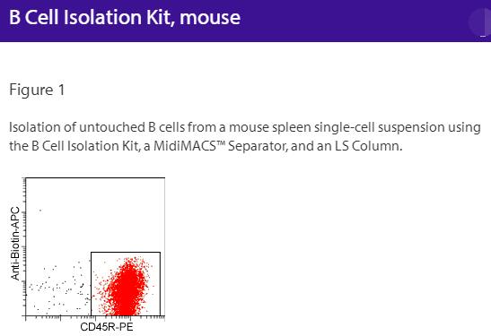 B Cell Isolation Kit, mouse
