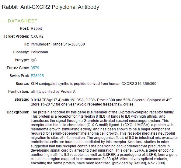 细胞表面趋化因子受体2抗体