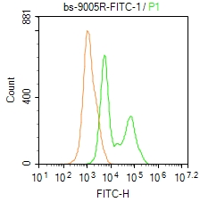 猫眼综合征染色体候选基因1抗体