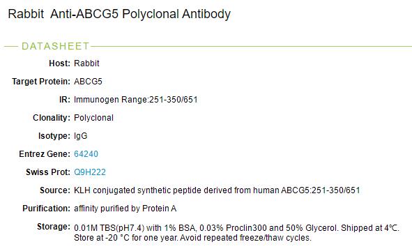 三磷酸腺苷结合转运蛋白G超家族成员5抗体