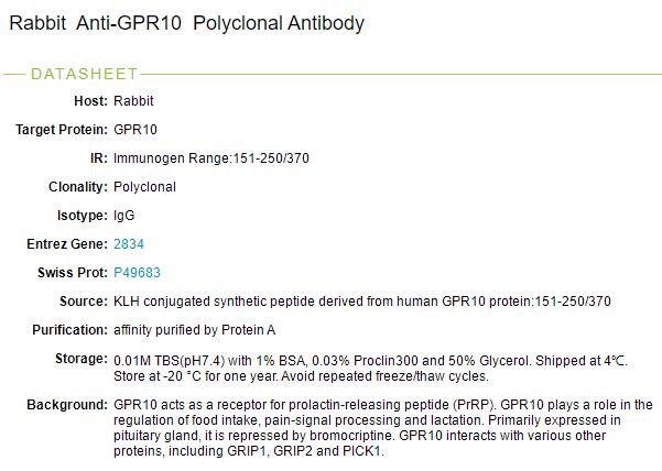 G蛋白偶联受体GPR10蛋白抗体